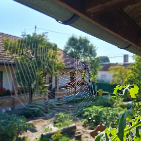 Bari Tanya Penzion Kisnána