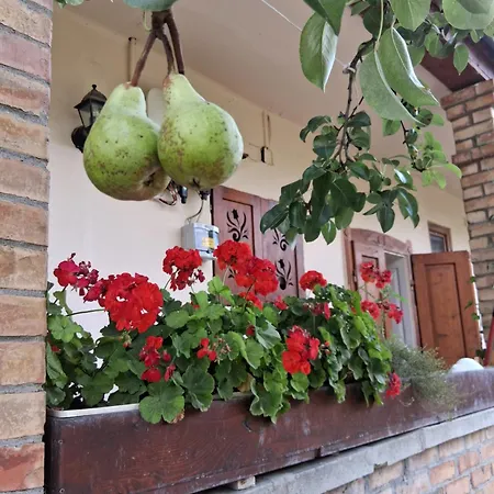 Bari Tanya Penzion 3*