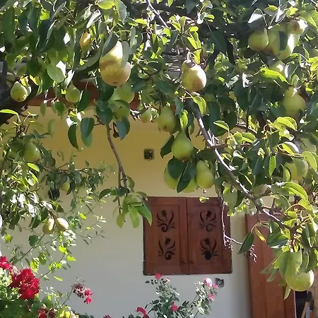 Penzion Bari Tanya 3*