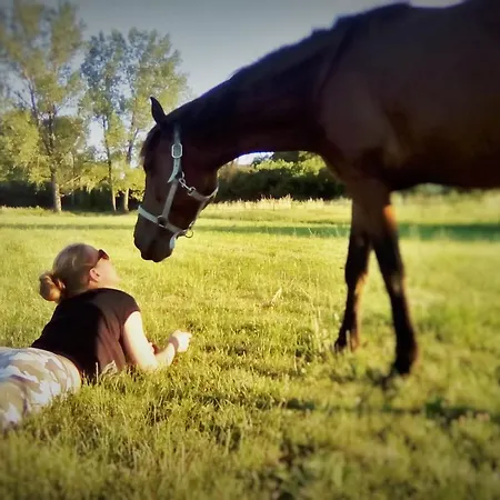 Penzion Bari Tanya 3*