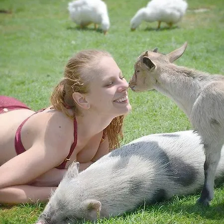 Penzion Bari Tanya 3*